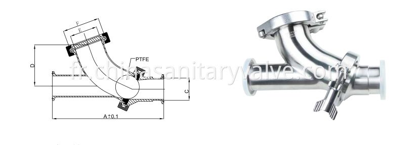 Sanitary Y-ball check valve